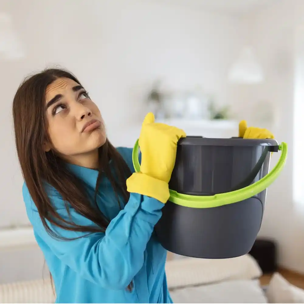 water damage restoration service Morrisonville